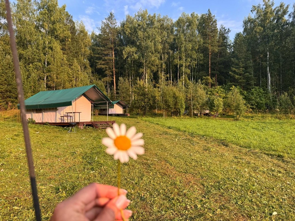 Сафари тенты для размещения в летний период.