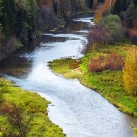 Прогулки по парку «Оленьи ручьи»