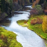 Прогулки по парку «Оленьи ручьи»